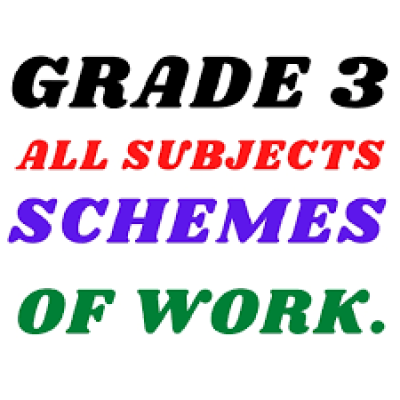 Scheme Of Work Grade 3 Term 1